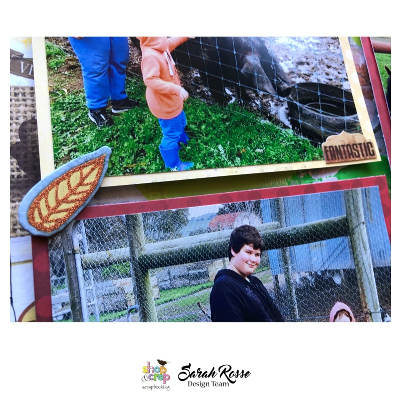 Shop and Crop 'Cremona Farm' by Sarah Rosse