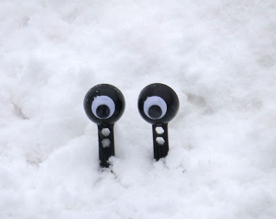 googly eyes hiding in the snow