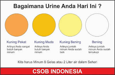Warna Urin yang Sehat - Blog Mas Hendra