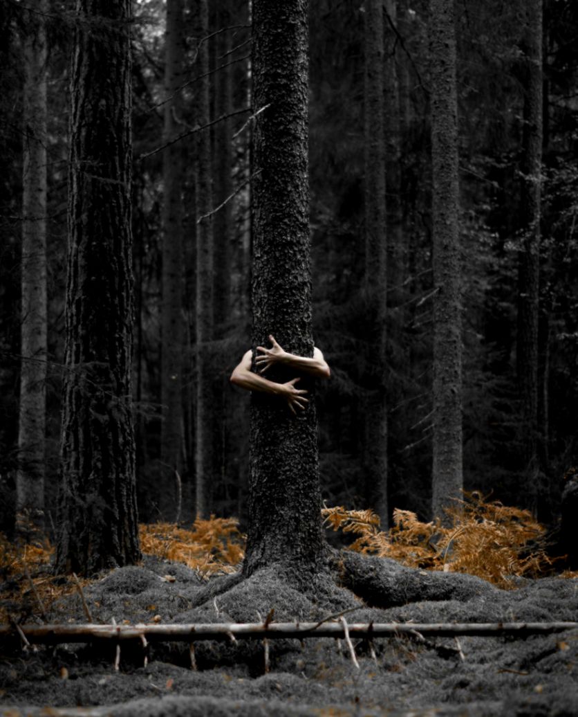 Stunning Swedish Nature Photography Captured by Magnus Dovline