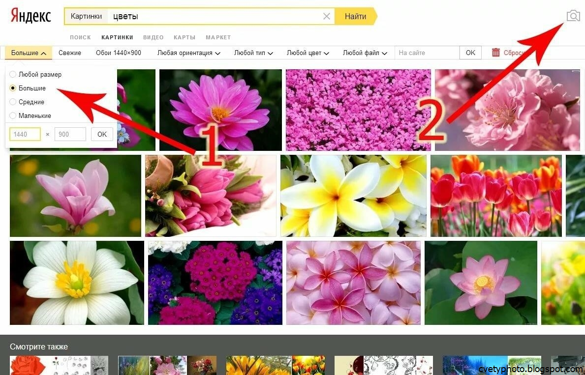 Поиск по фото загрузить картинку. Найти картинку по картинке. Как найти по картинке в Яндексе. Как загрузить картинку в Яндекс. Яндекс по картинке.