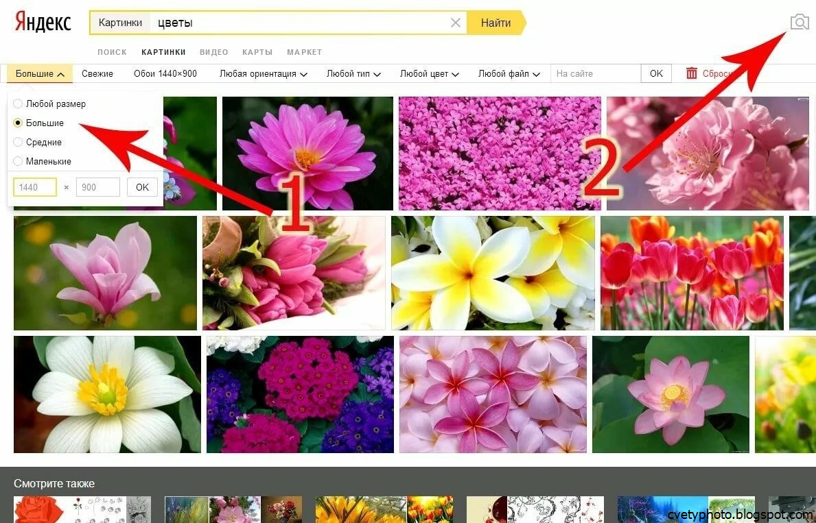 Найти через фото в яндексе телефон картинку. Найти картинку по картинке. Скачивание картинок с Яндекса.