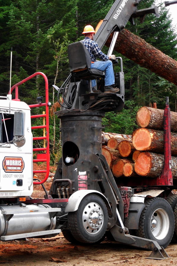 OffGrid Home Sweet Home Last Load Of Logs...