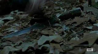 prison break redecanais prison break redecanais