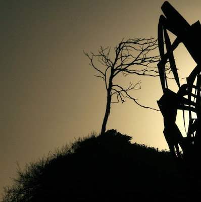 Backlighting in photography, Simple way for dramatical photo