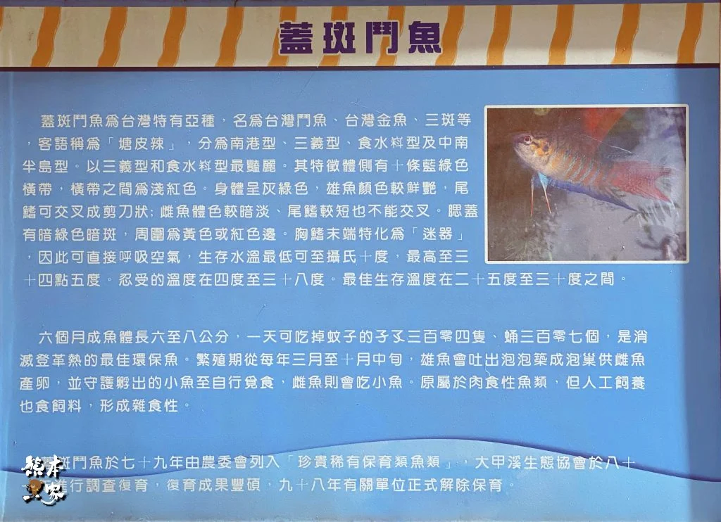 台中傳統日式古蹟|石岡穀倉|台灣現存最完整的日式瑴倉