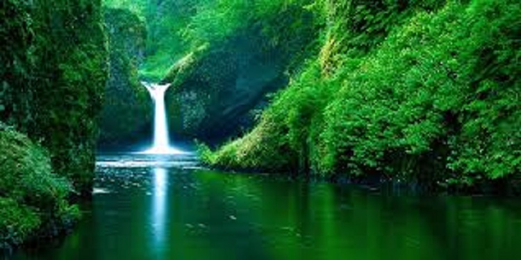 Greev Cover of India Green+Cover+of+India