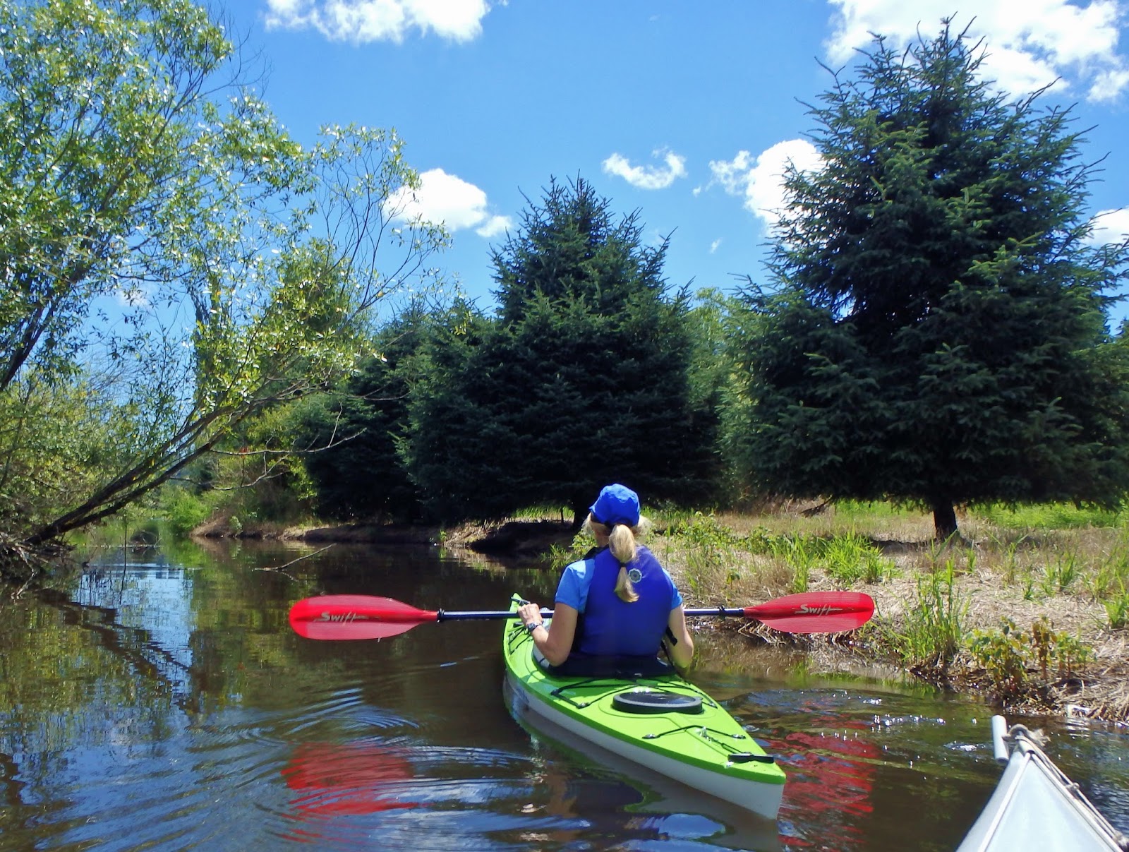 Pacific Northwest Seasons Saving Wild Salmon Return to Swamp Creek