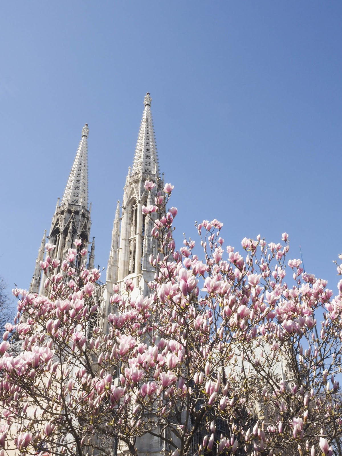 Wien Der Ultimative Guide Fur Erstbesucher Sightseeingroute