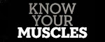 Know Your Muscles