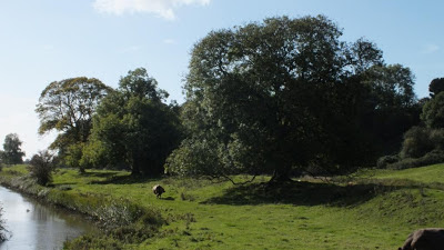 Winchelsea