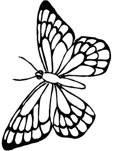 best-hd-printable-butterfly-coloring-pages-image-coloring-pages-free