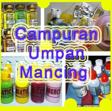 Campuran Umpan Penggugah Selera Makan Untuk Ikan Mas<script async src=