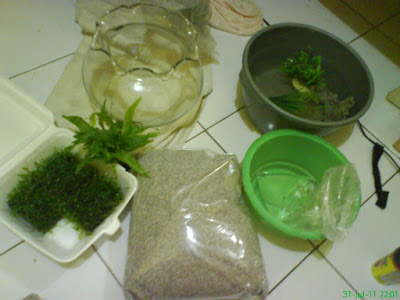 akuarium kecil
