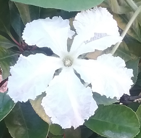 La Pointe Mahabou Et Ses Couleurs