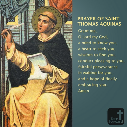 Cum Petro et Sub Petro Feast of St Thomas Aquinas