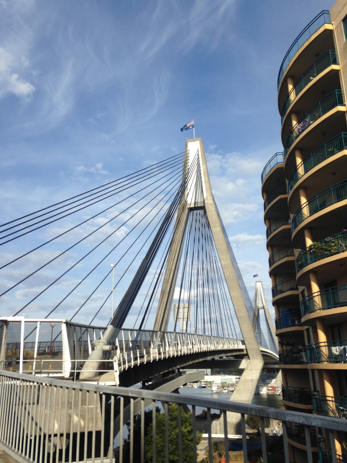 Where the Wild Things Were 7 Bridges Walk