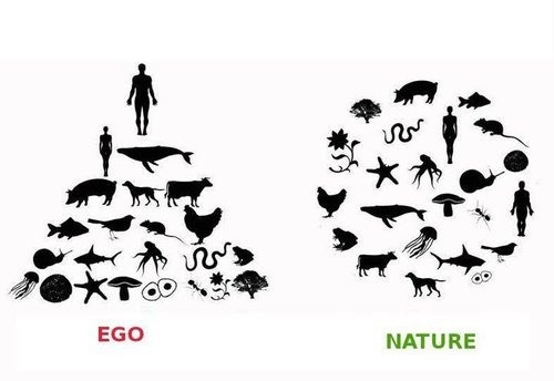 ego%2Bnature.jpg