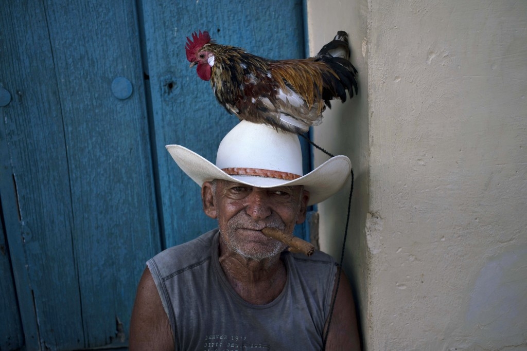 70 Of The Most Touching Photos Taken In 2015 - A man named Jose poses with his rooster named Luis to be photographed for tourists in Trinidad, Cuba. This year, the US embassy in the country reopened for the first time in 54 years.