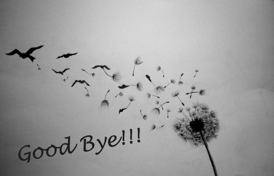 Kata Kata Mutiara Tentang Perpisahan Dan Kelulusan Sekolah