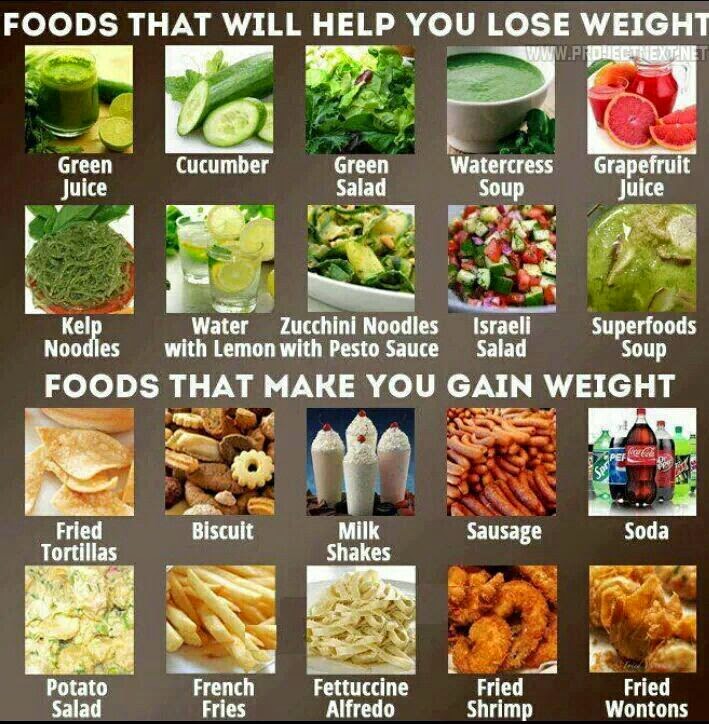 hover_share weight loss - foods that will help you lose weight 