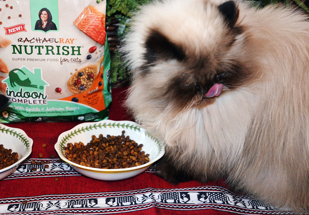 Cats Tales & Reviews Rachael Ray's New Cat Food Purrfection It's