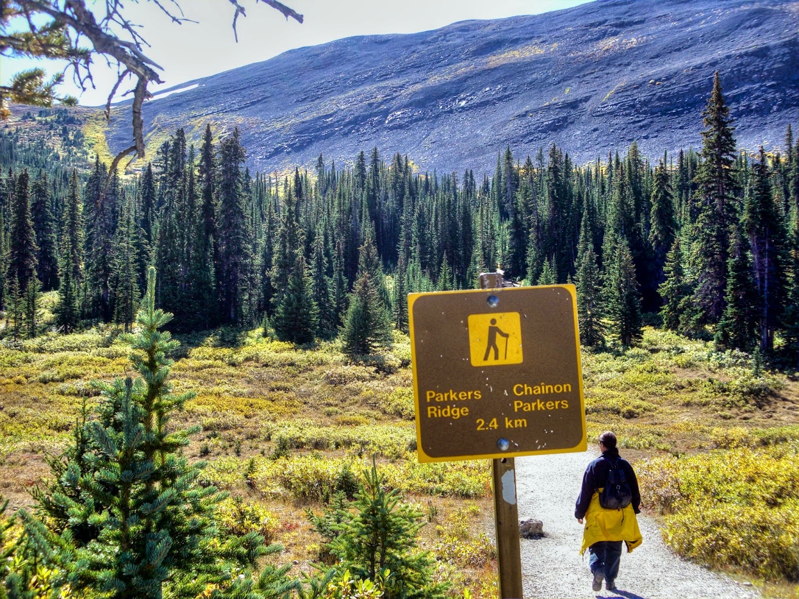 Rudolf's Blog: Short hike from the Icefields Parkway to the Parker Ridge