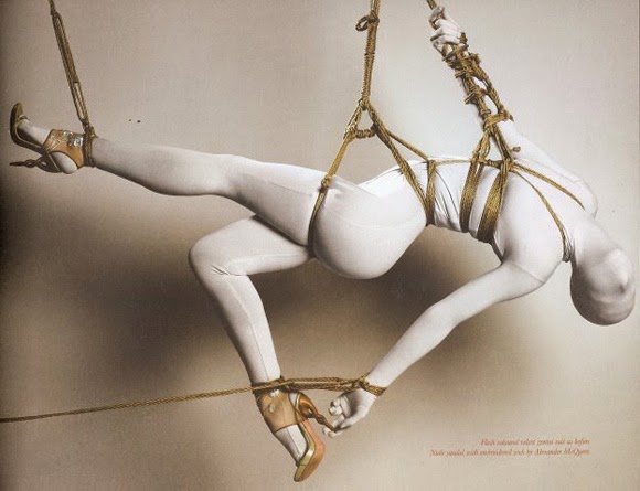 shibari 