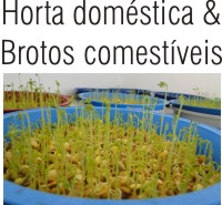 HORTA DOMÉSTICA E BROTOS COMESTÍVEIS
