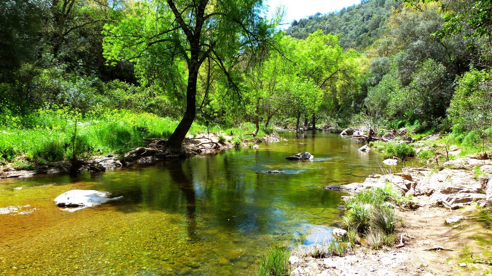 Foto de Sendero de Pericuñarra en Hornachuelos, Córdoba