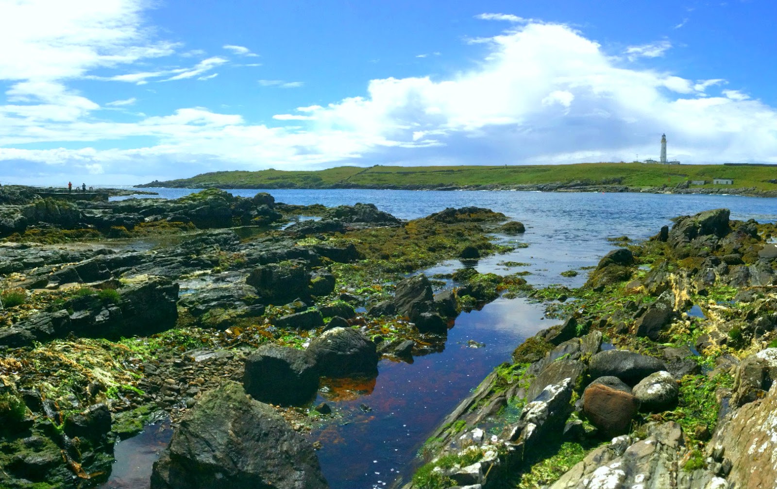 WHY YOU SHOULD GO TO ISLE OF ISLAY IN SCOTLAND WANDERING IN THE NOW