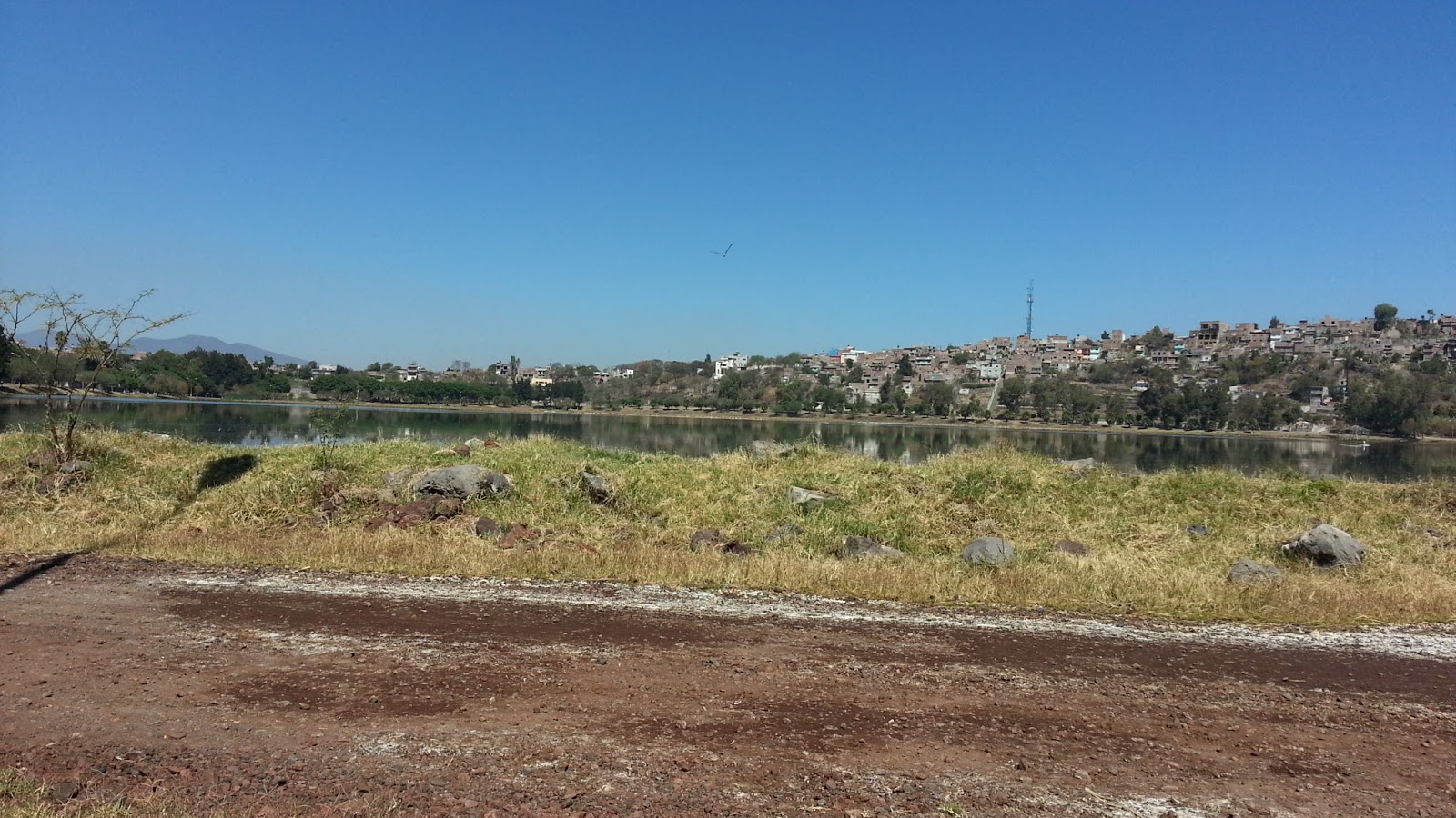 Gervacio Mendoza La Joya, Yuriria 16 fotos.