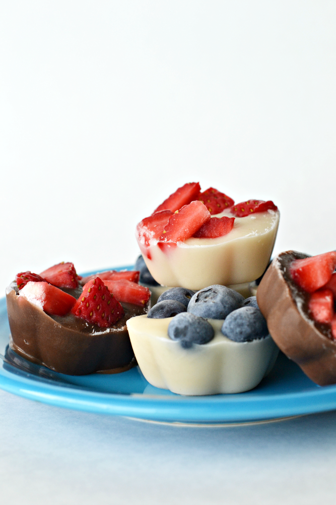The Life of Jennifer Dawn: Fruity Frozen Pudding Bites