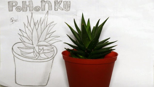 20 Koleski Terbaru Sketsa Gambar Lidah Buaya - The Toosh