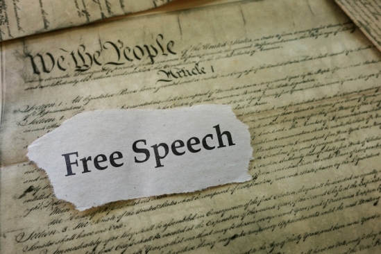 Media Law & Literacy: WEEK 2, Pt. 2: Eight Values of Free Expression