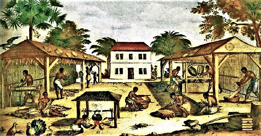 a woodsrunner s diary 17c american women the southern colonies