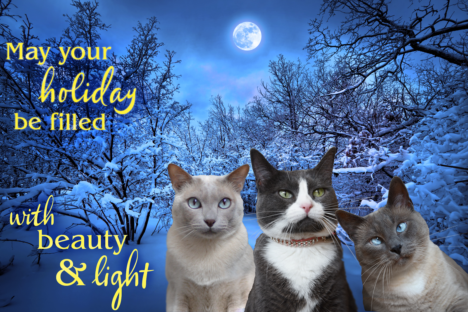 Laila and Angel Minchie: CHRISTMAS E-CARDS