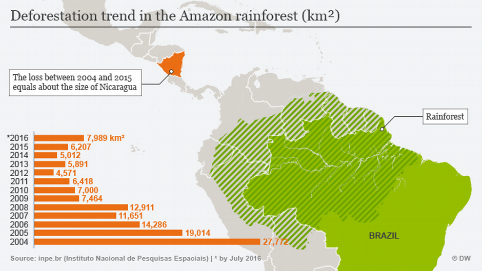 Deforestation trend in the Amazon rainforest
