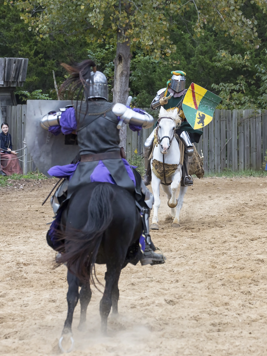 St. Louis Daily Photo In Days Of Old When Knights Were Bold