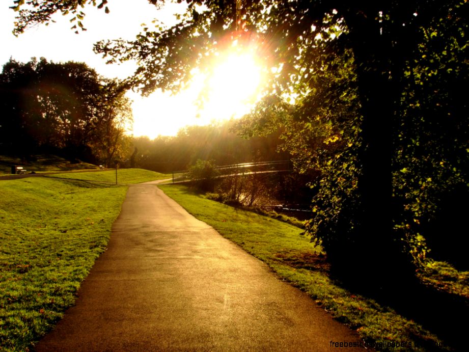 Nature Photography 13