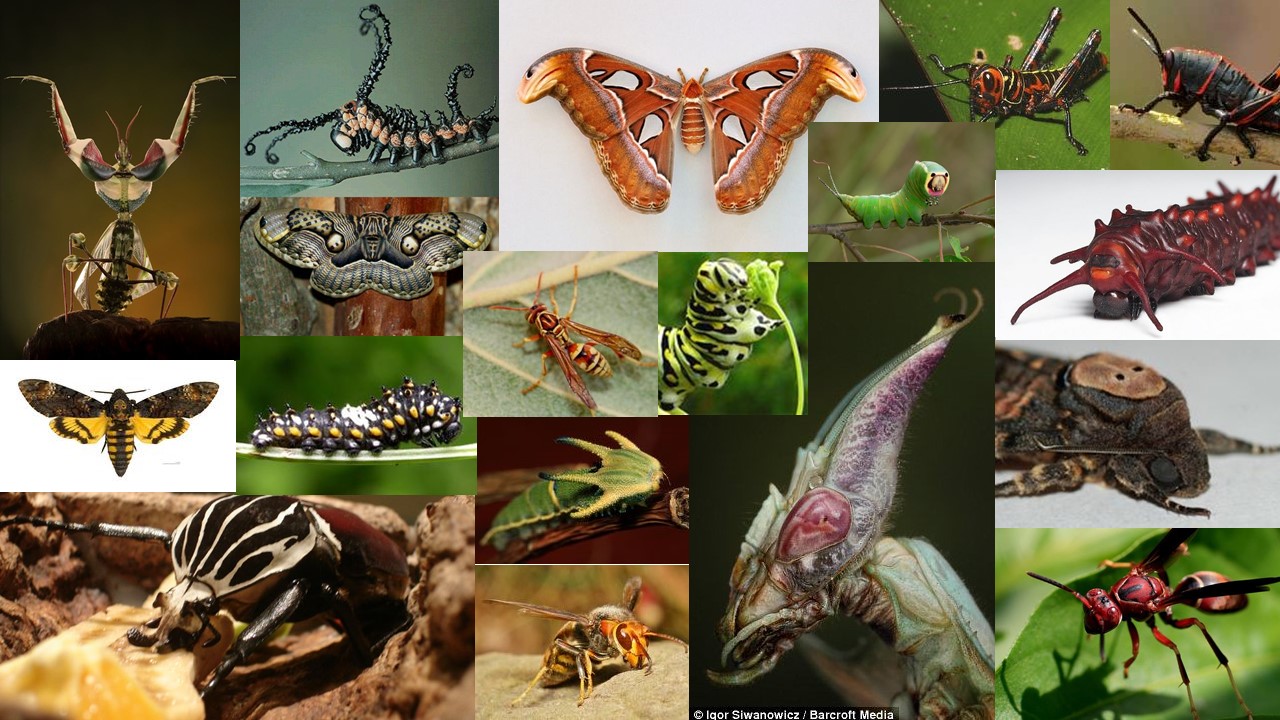 Game Art and Design Year 3 BA3a Tasks