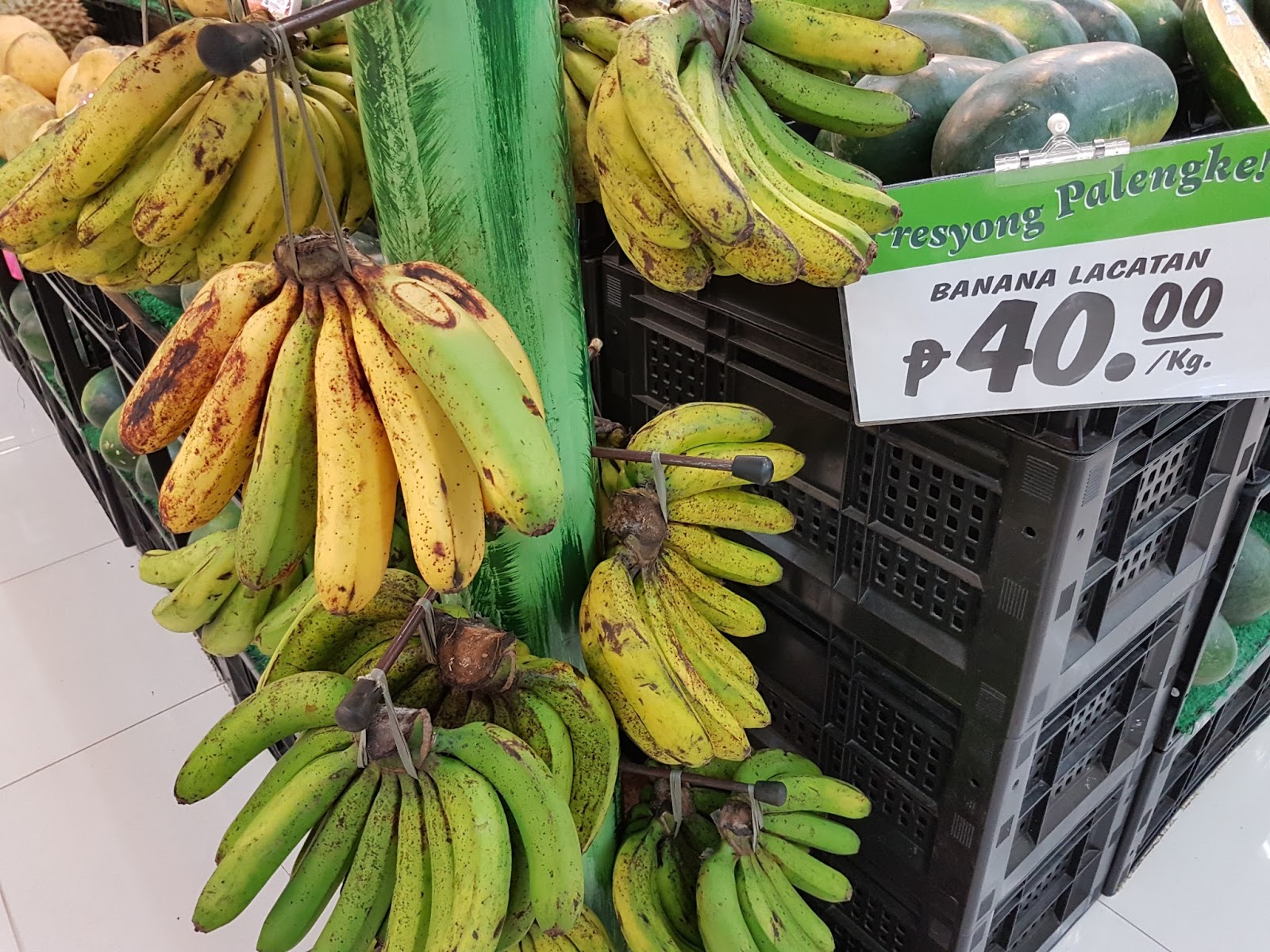 Lakatan Philippin News Collections Lakatan Philippin News Collections