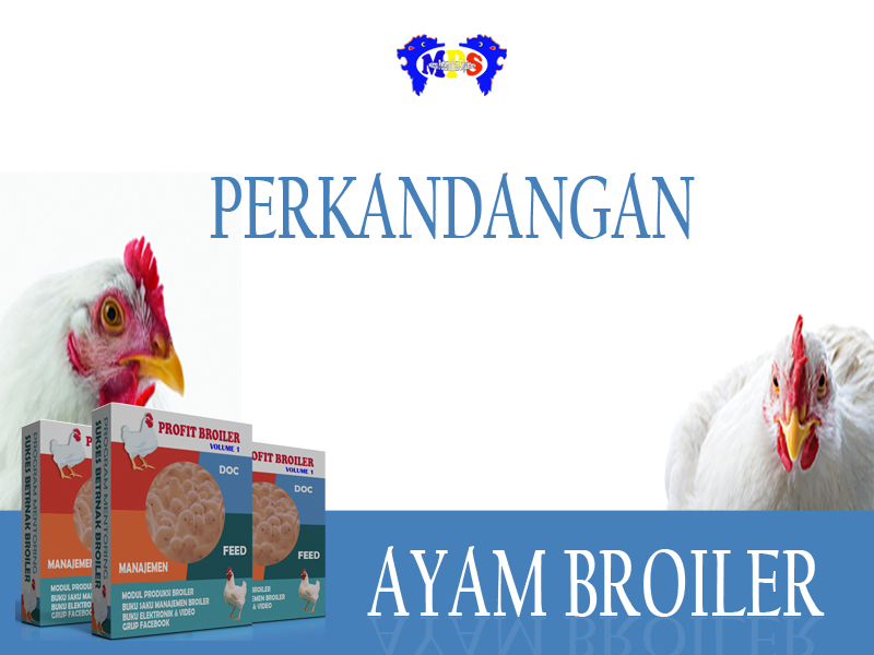 Peralatan kandang Ayam Broiler; Tempat Pakan Ayam