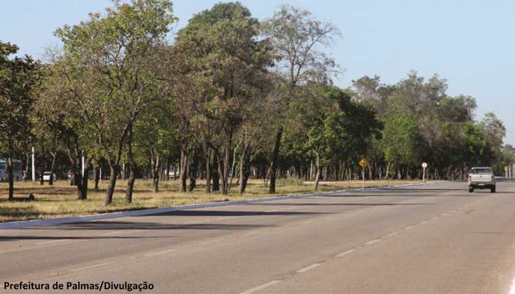 Arborização do canteiro da Avenida Teotônio Segurado, em Palmas, Tocantins, funciona como um grande parque linear verde. Foto: Prefeitura de Palmas/Divulgação. BRT, Palmas, Tocantins, impacto do BRT sobre arborização, arborização urbana, Bus Rapid Transit, consultoria ambiental Tocantins, ecótono engenharia, engenharia ambiental, engenheiro ambiental Tocantins, plano de arborização urbana de palmas, diagnóstico da arborização urbana de Palmas, impacto ambiental, ambiente urbano, cidades sustentáveis, áreas verdes urbanas, mobilidade urbana, environmental impact, urban environment, sustainable cities, urban green areas, urban mobility, meio ambiente, natureza