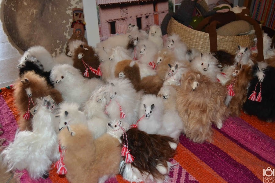 "Fundación Privada Mitri"