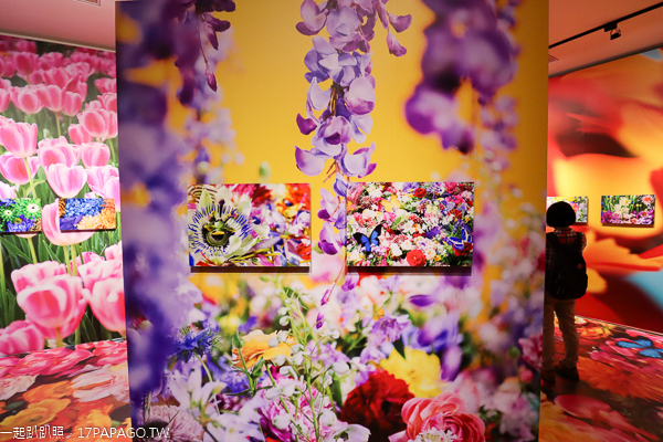 台中后里|台中花博后里馬場園區|花舞館|馬術兢技場|故宮花蝶館|花馬樂園 台中后里|台中花博后里馬場園區|花舞館|馬術兢技場|故宮花蝶館|花馬樂園