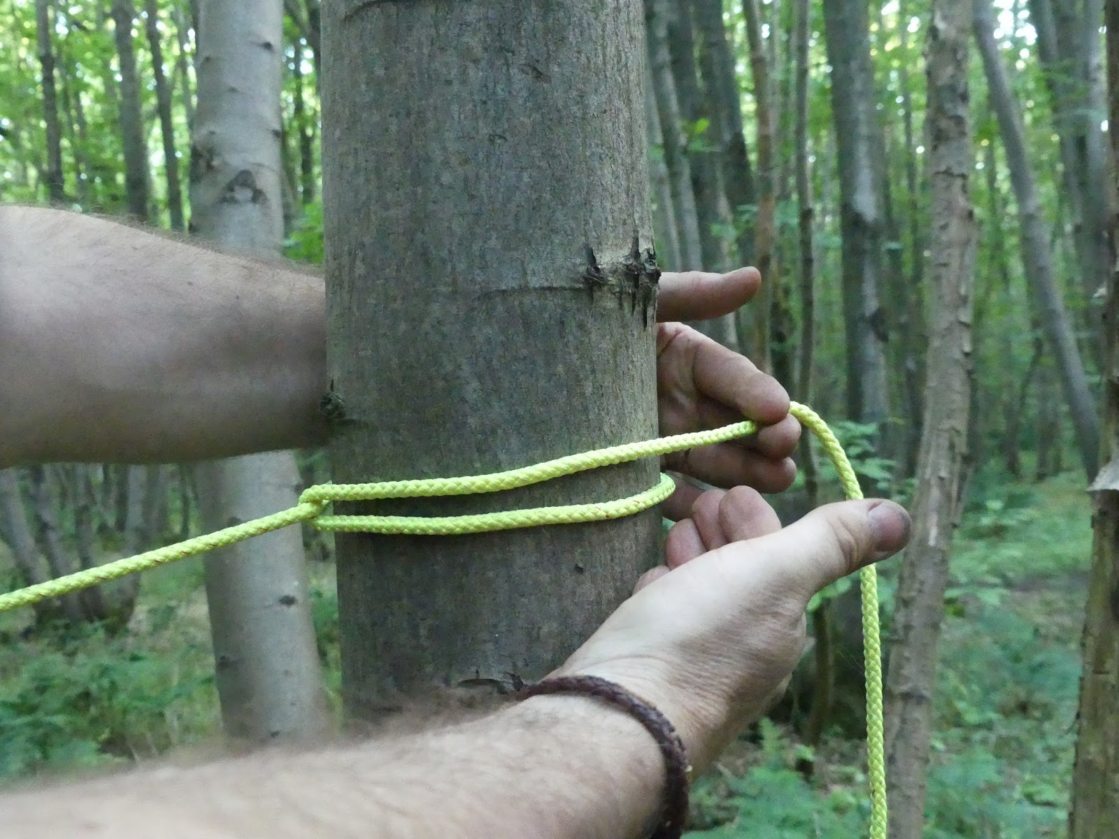 The Outdoor Traditionalist The Three Main Tarp Knots