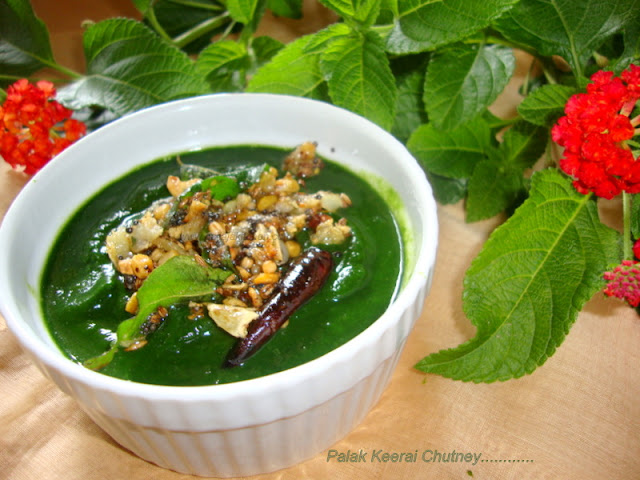 images of Palak Keerai Chutney / Spinach Chutney / Keerai Chutney / Palak Masiyal