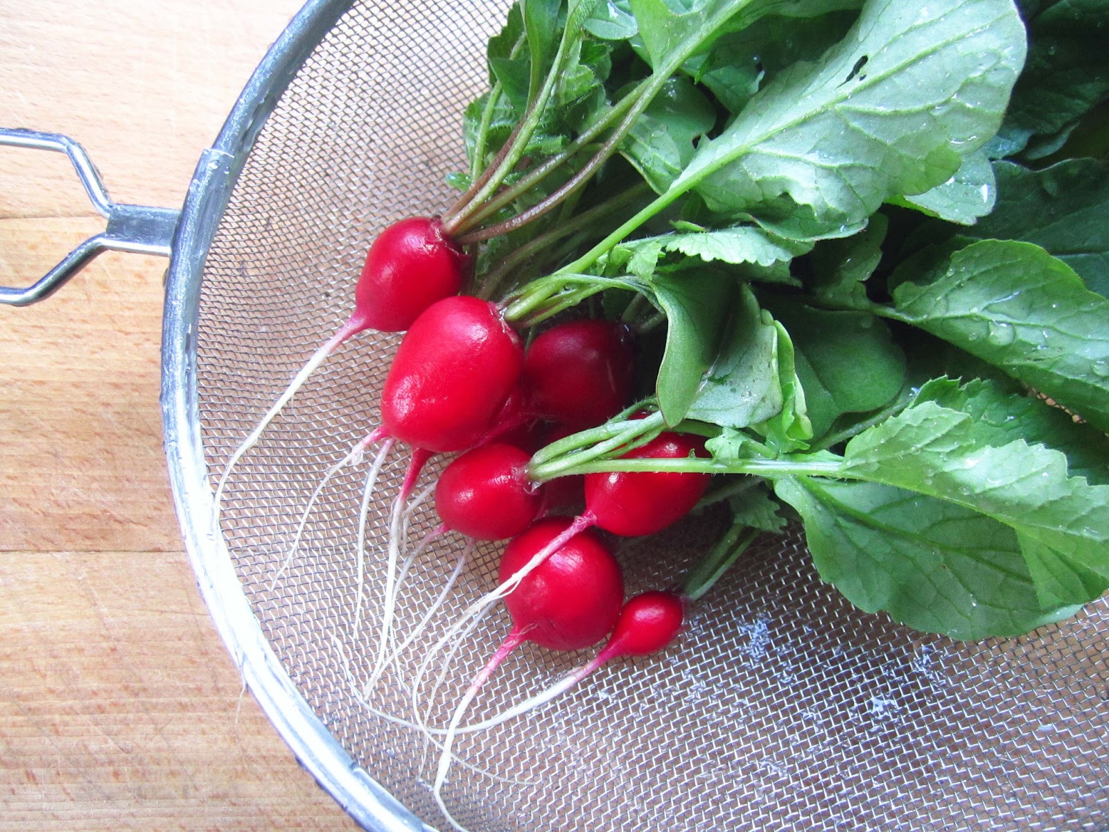 Radishes with Butter and Salt The Grazer