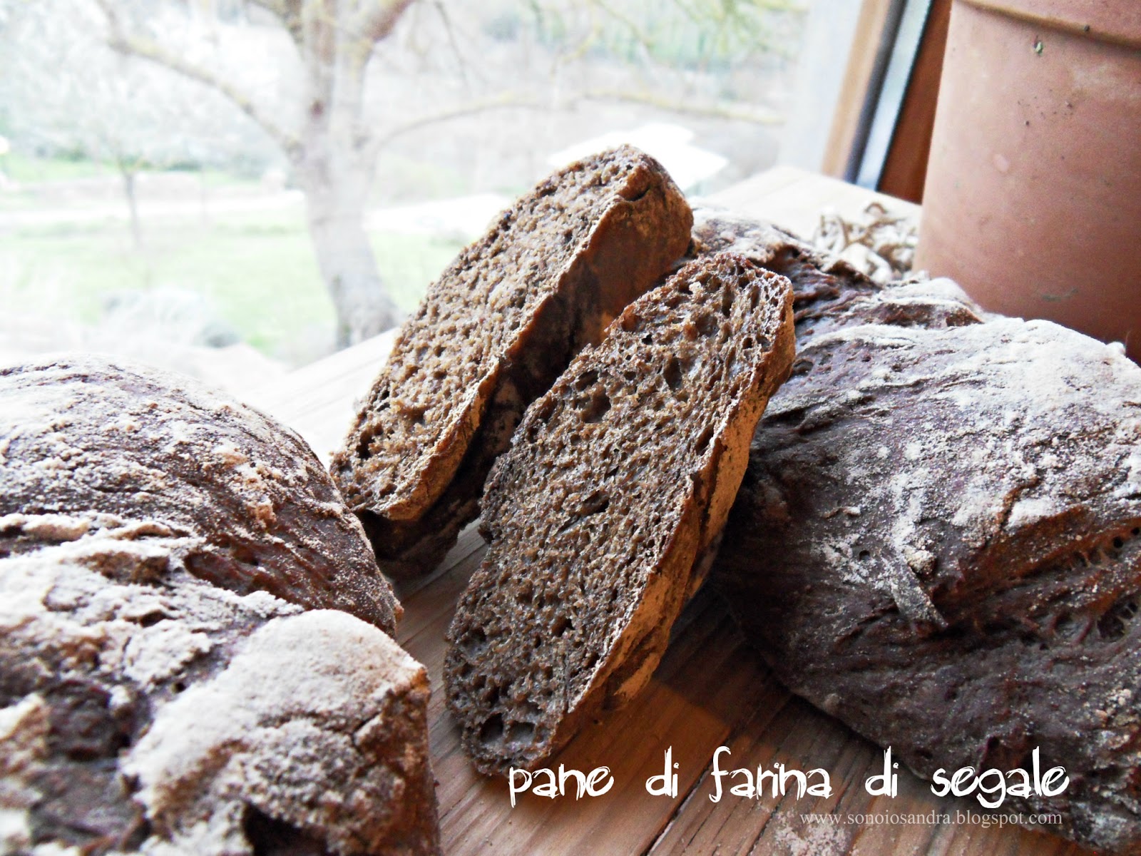 Pane di farina di segale 